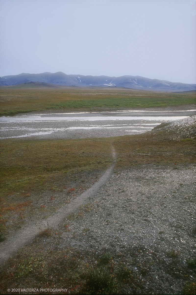 86 SIBERIA.jpg - Luglio/Agosto 1992. Siberia, terra dei Chukchi. Nell'oceano artico  125 Km a nord-est della penisola dei Chukchi (Siberia) c'Ã¨ l'isola di Wrangel, essa ospita piÃ¹ del doppio di specie vegetali (417) di qualsiasi territorio artico a paritÃ  di superficie nonchÃ¨ 30 specie diverse di uccelli oltre ad orsi polari, foche e trichechi ; per questo motivo   Ã¨ stata proclamata patrimonio dell'umanitÃ  dall'UNESCO. Nella foto la tundra nella parte sud dell'isola di Wrangel ricca di acque e di sorgive.